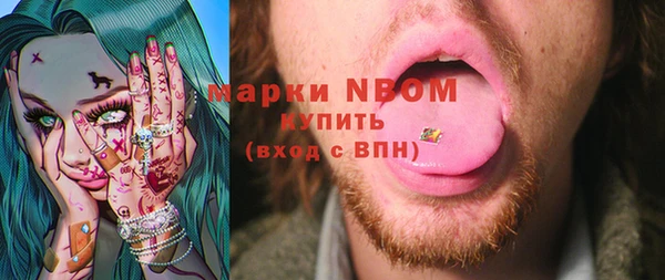 шишки Гусиноозёрск